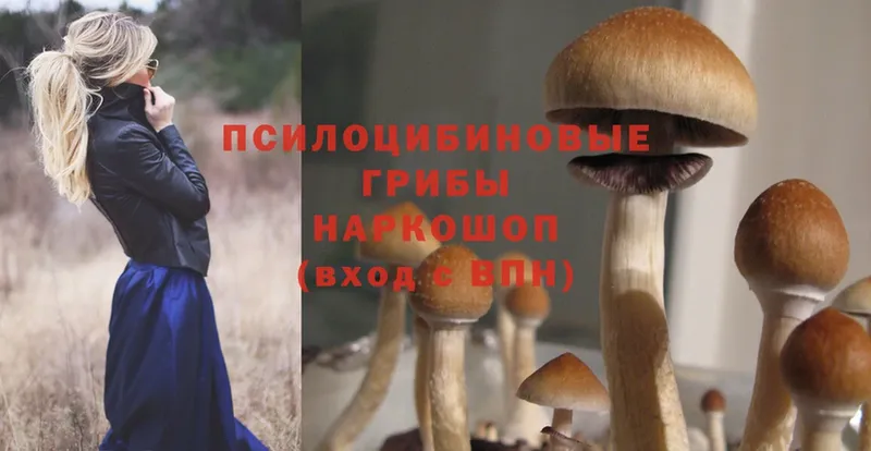 Галлюциногенные грибы Magic Shrooms  Баймак 